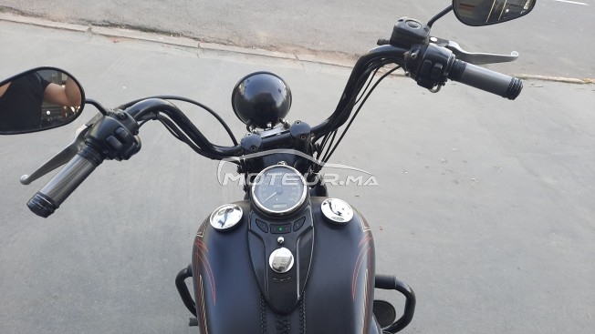 هارليي-دافيدسون فلستسب إسوفتايل كروس مستعملة 2408802