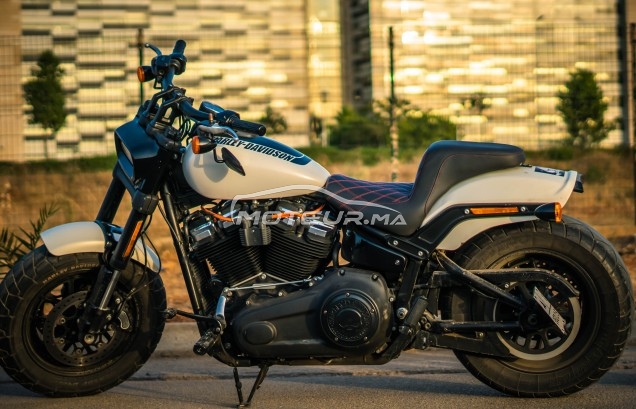 HARLEY-DAVIDSON Fxdf dyna fat bob occasion  1370783
