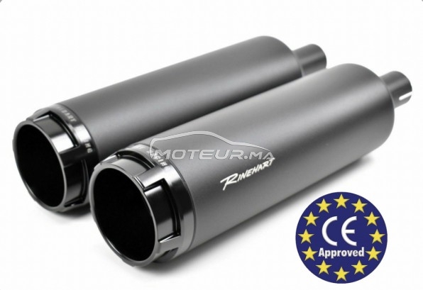 HARLEY-DAVIDSON Fxdf dyna fat bob occasion  1370786