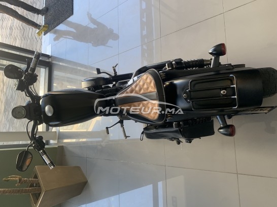 هارليي-دافيدسون يرون 833 Classique مستعملة 1139106