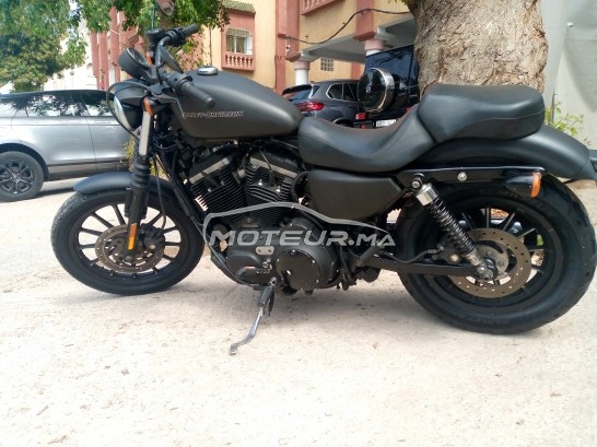 هارليي-دافيدسون يرون 833 مستعملة 1620363