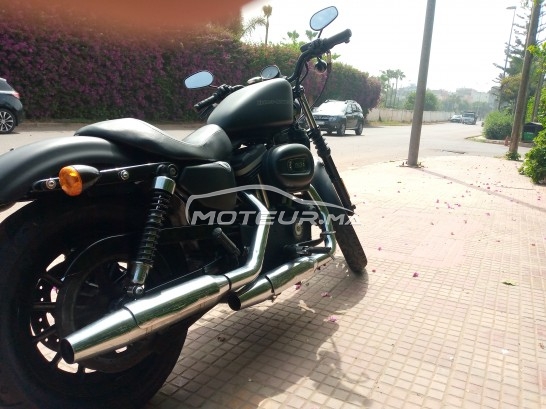 هارليي-دافيدسون يرون 833 مستعملة 1620362