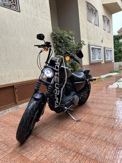 HARLEY-DAVIDSON Iron 833 occasion  1794100