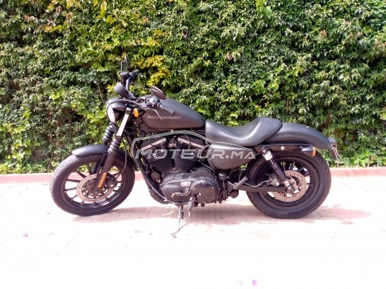 هارليي-دافيدسون يرون 833 مستعملة 1620365