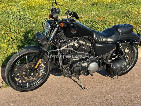 هارليي-دافيدسون يرون 833 Sporster مستعملة 2161767