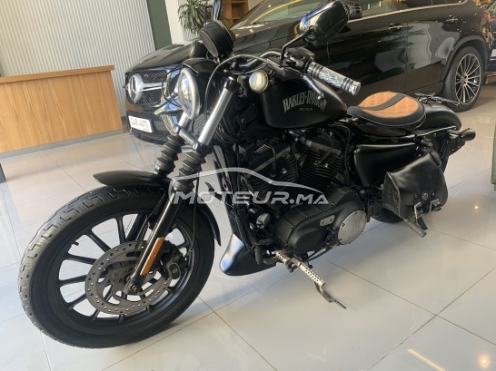 هارليي-دافيدسون يرون 833 Classique مستعملة 1139109