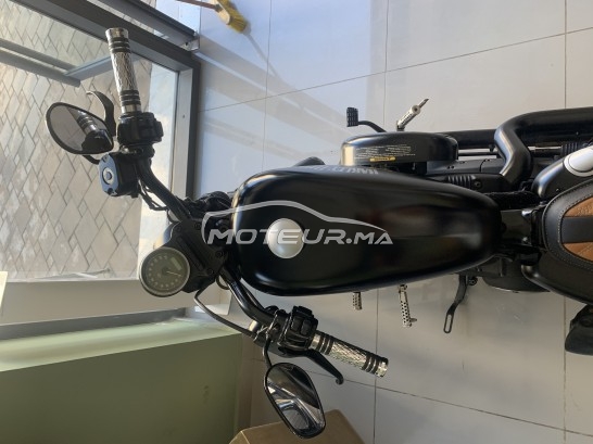 هارليي-دافيدسون يرون 833 Classique مستعملة 1139108