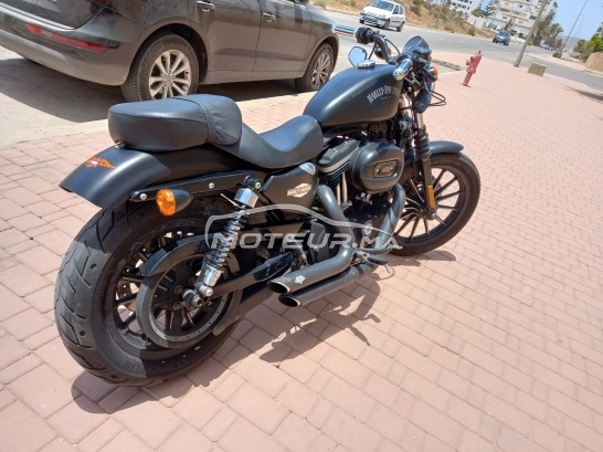 Acheter moto occasion HARLEY-DAVIDSON Iron 833 au Maroc - 394053