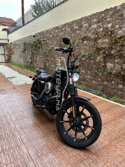 HARLEY-DAVIDSON Iron 833 occasion  1794121