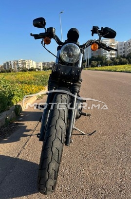 هارليي-دافيدسون يرون 833 Sporster مستعملة 2161768