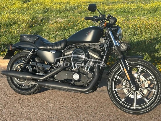 هارليي-دافيدسون يرون 833 Sporster مستعملة 2161766