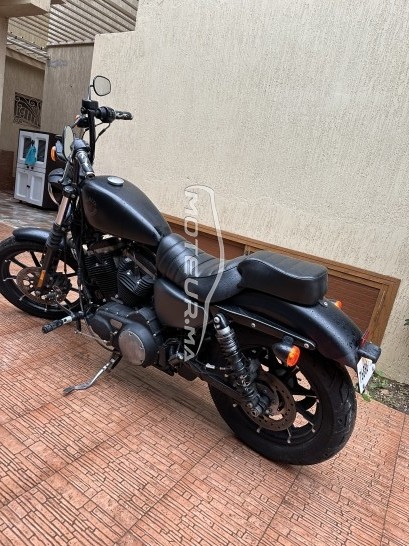 HARLEY-DAVIDSON Iron 833 occasion  1794096