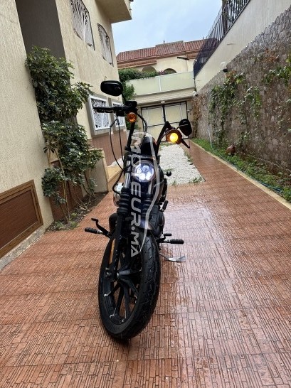 HARLEY-DAVIDSON Iron 833 occasion  1794099