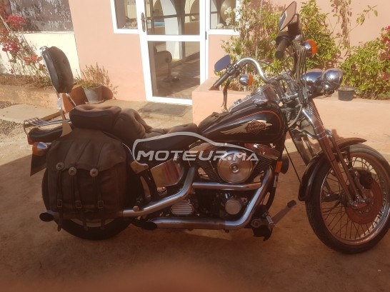 هارليي-دافيدسون سوفتايل إسبرينجير Collection مستعملة 1952587