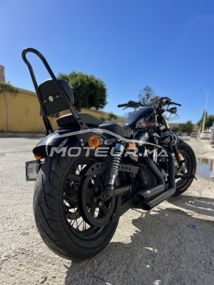 هارليي-دافيدسون سبورتستير 1200 مستعملة 1770542