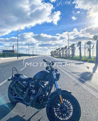 HARLEY-DAVIDSON Sportster 1200 Forty-eight occasion  1765416