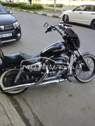 HARLEY-DAVIDSON Sportster 1200 occasion  1575251
