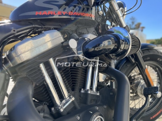 هارليي-دافيدسون سبورتستير 1200 مستعملة 1770539