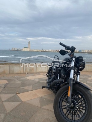 HARLEY-DAVIDSON Sportster 1200 Forty-eight occasion  1765415