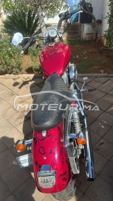 هارليي-دافيدسون سبورتستير 1200 Superlow 1200 مستعملة 2505518