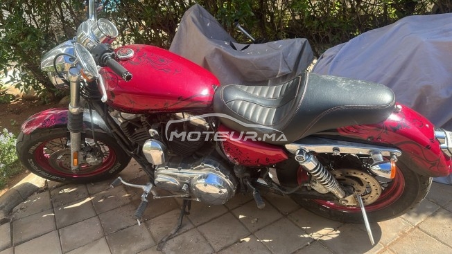 هارليي-دافيدسون سبورتستير 1200 Superlow 1200 مستعملة 2505615