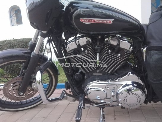 HARLEY-DAVIDSON Sportster 1200 occasion  1575249