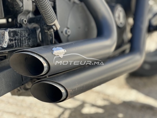 هارليي-دافيدسون سبورتستير 1200 مستعملة 1770541