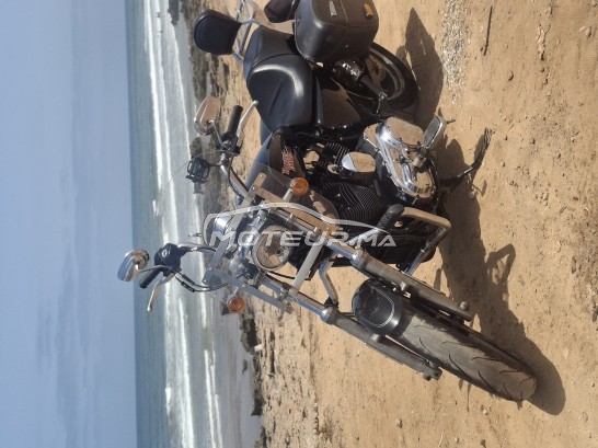 HARLEY-DAVIDSON Sportster 1200 sport occasion  1885425