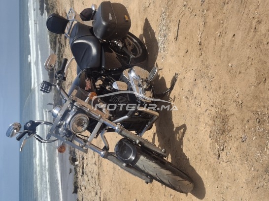 HARLEY-DAVIDSON Sportster 1200 sport occasion  1885423