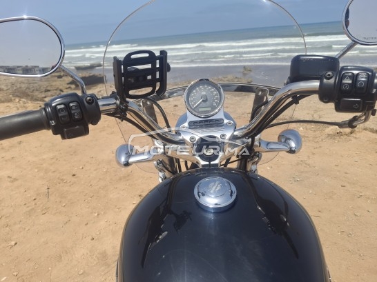 HARLEY-DAVIDSON Sportster 1200 sport occasion  1885434