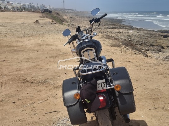 HARLEY-DAVIDSON Sportster 1200 sport occasion  1885429
