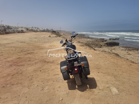 HARLEY-DAVIDSON Sportster 1200 sport occasion  1885430