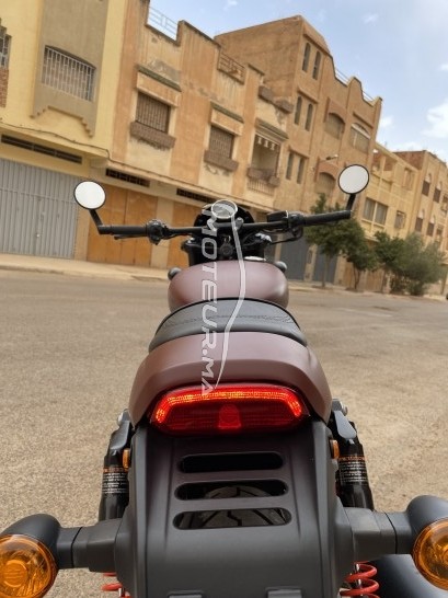 HARLEY-DAVIDSON Street rod 750 occasion  1571096