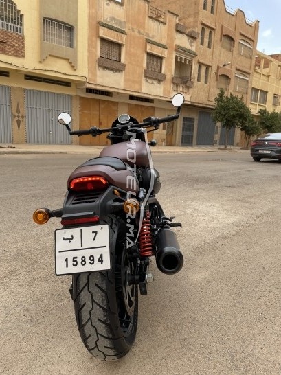 HARLEY-DAVIDSON Street rod 750 occasion  1571094