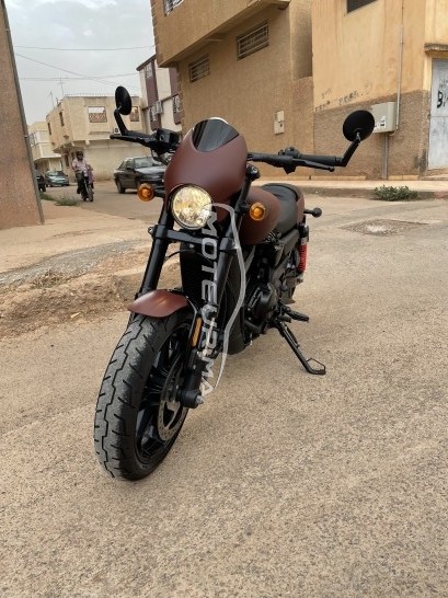 HARLEY-DAVIDSON Street rod 750 occasion  1571097