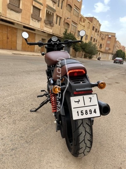 HARLEY-DAVIDSON Street rod 750 occasion  1571095