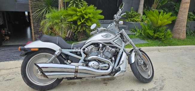 HARLEY-DAVIDSON Vrsca v-rod 100eme anniversaire occasion  2430788