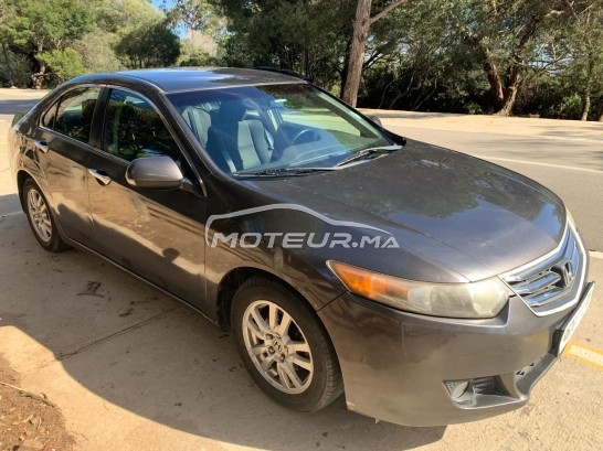 هوندا اكورد Platinum مستعملة 1946394