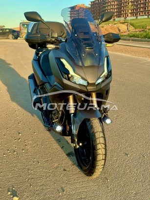 HONDA Adv Adv 350 occasion  3352408
