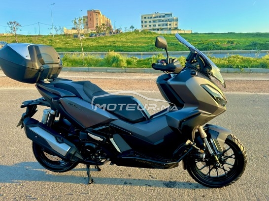 HONDA Adv Adv 350 occasion  3352409