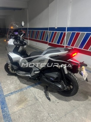 هوندا ادف 2024 مستعملة 1953982