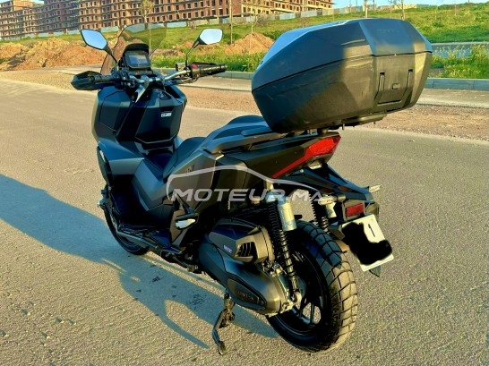 HONDA Adv Adv 350 occasion  3352412