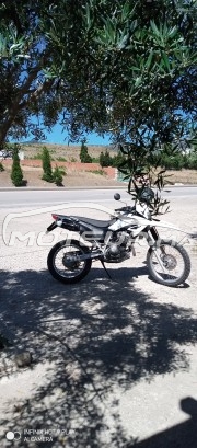 هوندا تورنادو مستعملة 1188995