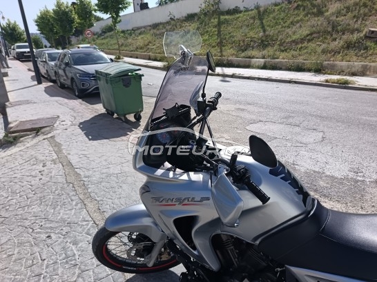 HONDA Autre Transalp 650 occasion 2355969