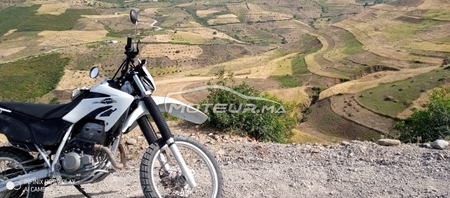 هوندا تورنادو مستعملة 1188996