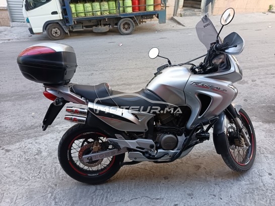 HONDA Autre Transalp 650 occasion 2355966