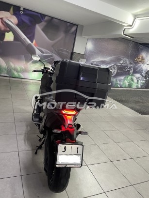 هوندا كس ادف مستعملة 1486503