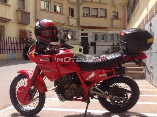 هوندا نكس 650 دوميناتور Moto honda dominator 650 cc مستعملة 351375