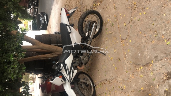 هوندا تورنادو مستعملة 1214230