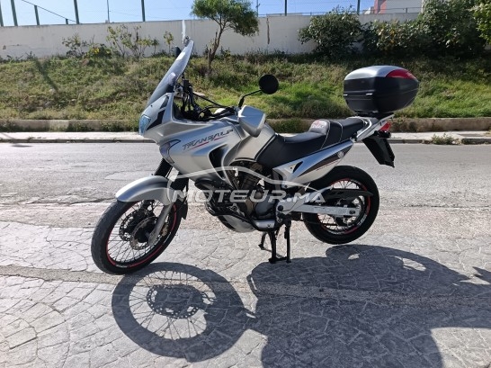 HONDA Autre Transalp 650 occasion 2355974